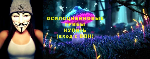 экстази Белокуриха