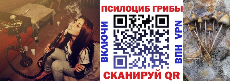 дарк нет клад  Сердобск  Галлюциногенные грибы Psilocybe  наркота 